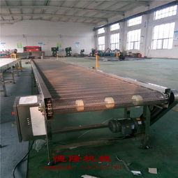 德隆工廠直銷 不銹鋼網(wǎng)帶傳送帶自動化輸送設(shè)備，食品專用解決方案